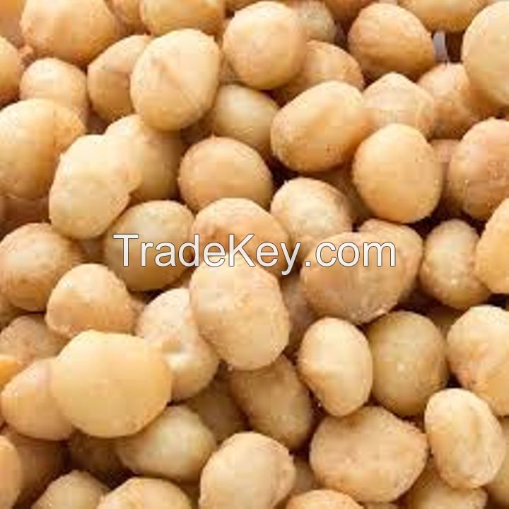 Cheap price Raw organic Macadamia nuts without shell