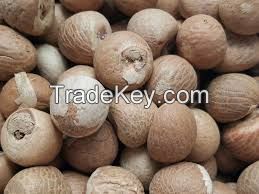 Certified Whole Betel Nut / Split and dried betel nuts for sale