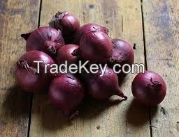 Best Grade Onions in 3 KG 5 KG Red Mesh Bag Packing