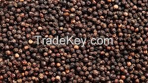Organic black pepper / vietnam black pepper price