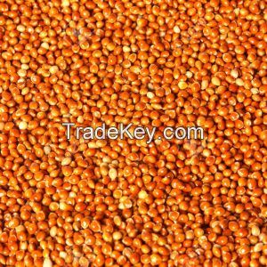 Dried Millet , Hulled Red Millet, Yellow White Mille