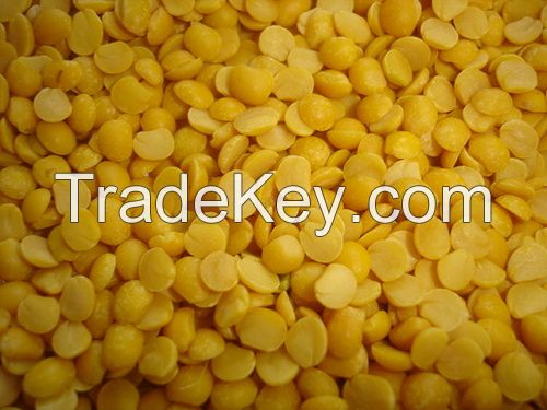 High quality  yellow lentils