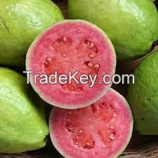 Rich Quality Good Taste Fresh Fruit Red Guava