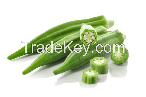 Fresh Okra/ Fresh Vegetable