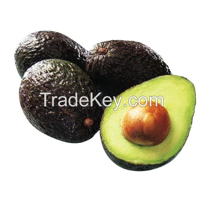 AVOCADO FRESH / Aguacate / PALTA HASS , Fresh Fruit & Hass Avocados