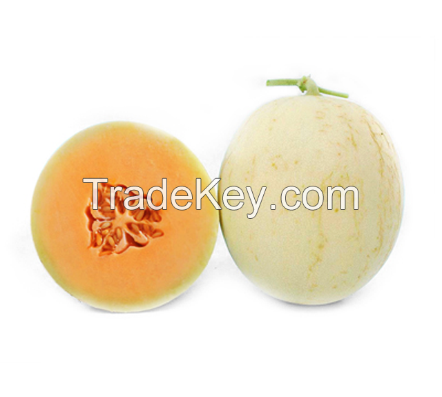 Fresh Organic Orange Flesh Melon