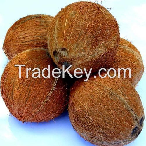 Husked Coconut/Fresh Semi Husked Coconut