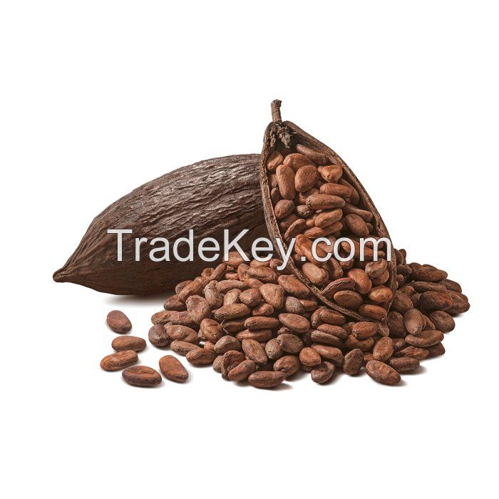 QUALITY COCOA BEANS COCOA