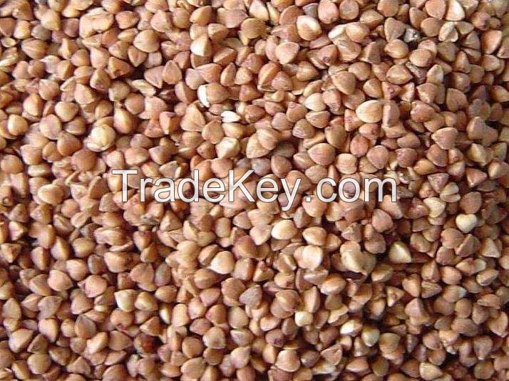 Organic Buckwheat, Oats, Barley, Corn, Millet, Groats, Grain, Flour
