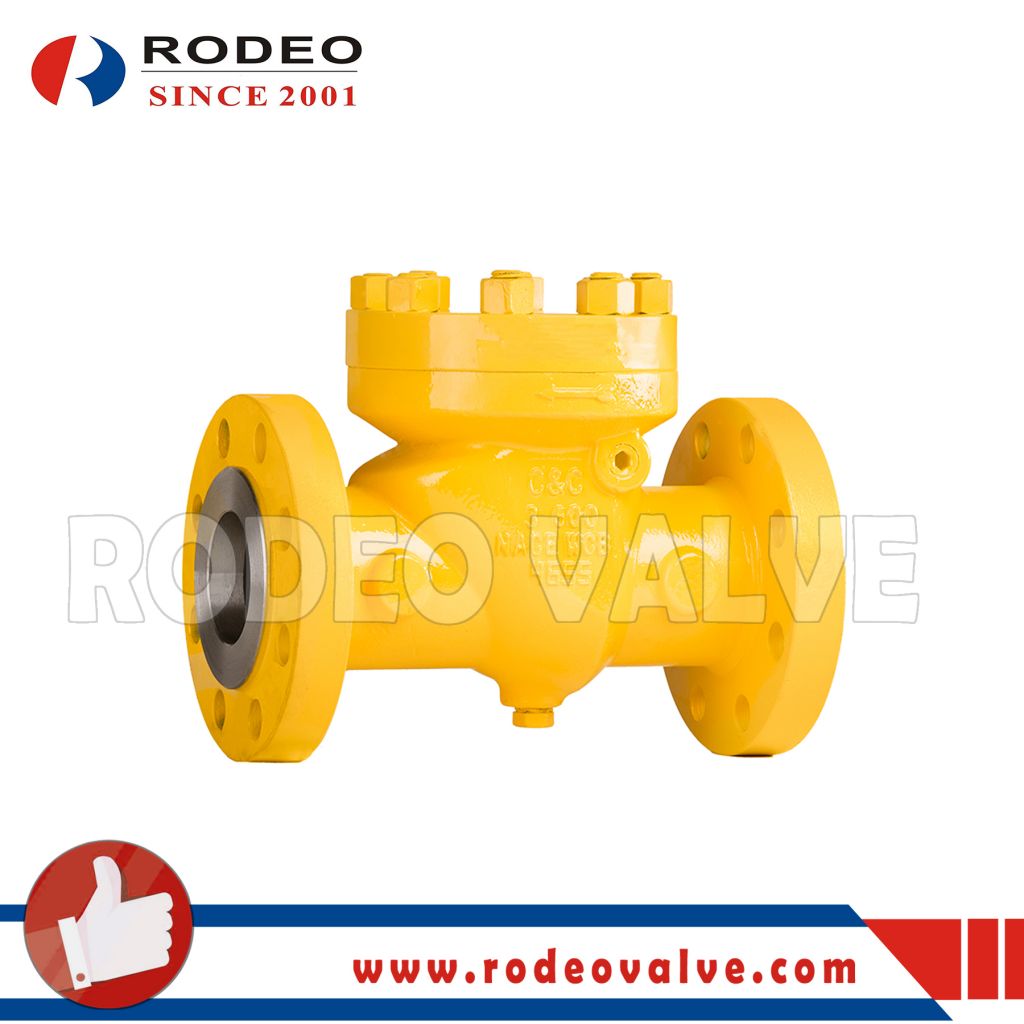 Dn15 API 6D Lift Check Valve