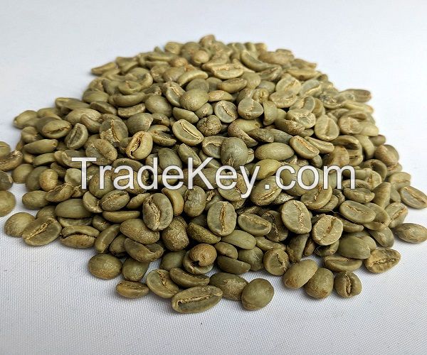 Arabica Green Coffee