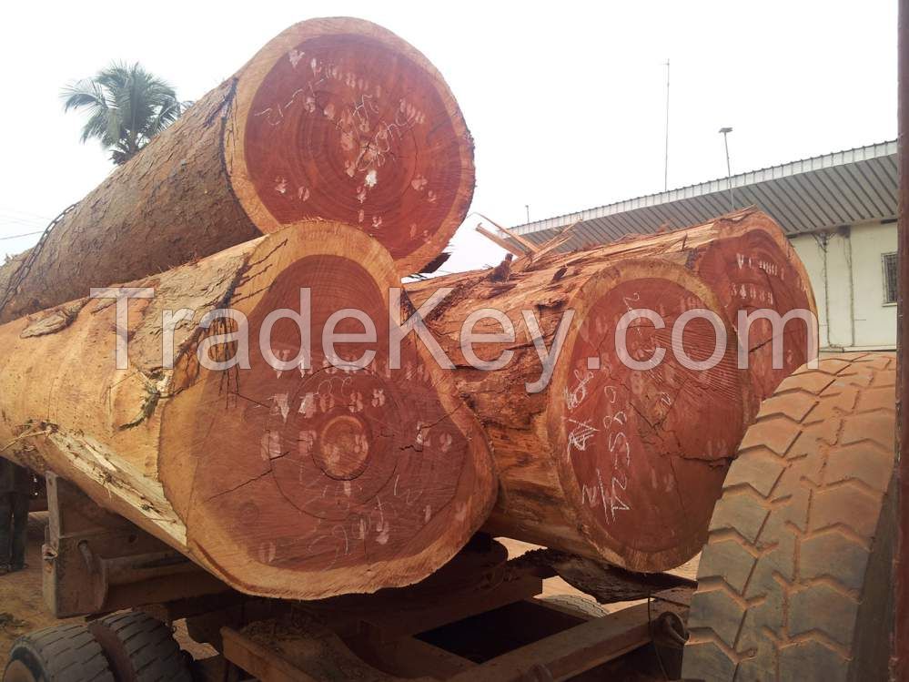 African Round Logs, Tropical Wood
