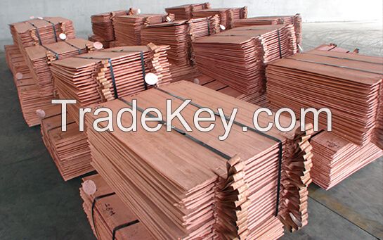 Copper sheets and strips