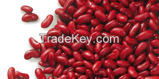 Kidney Beans