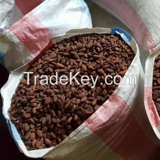 cocoa beans