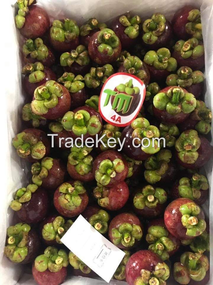 Sell Fresh Mangosteen Fruit