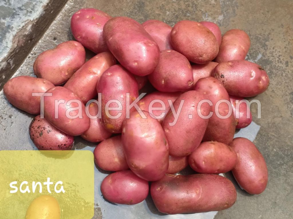 Fresh Potatoes 10% off