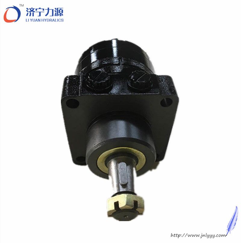 Hydraulic motor