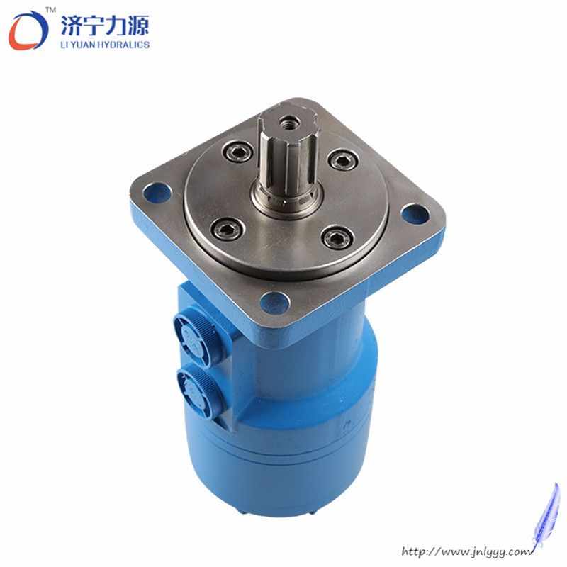 China hydraulic motor