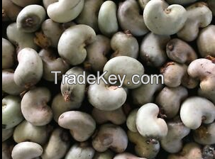 Sell high quality raw cashew nuts