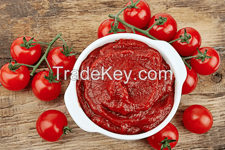 Tomato Paste