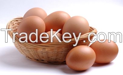 Fresh Chicken Table Eggs/Fresh Chicken Hatching EGGS at good prices