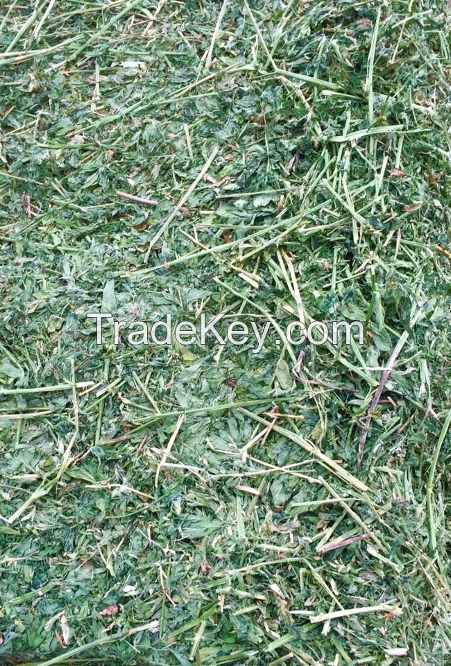 quality Premium Alfalfa Hay bales Grade A Pellets