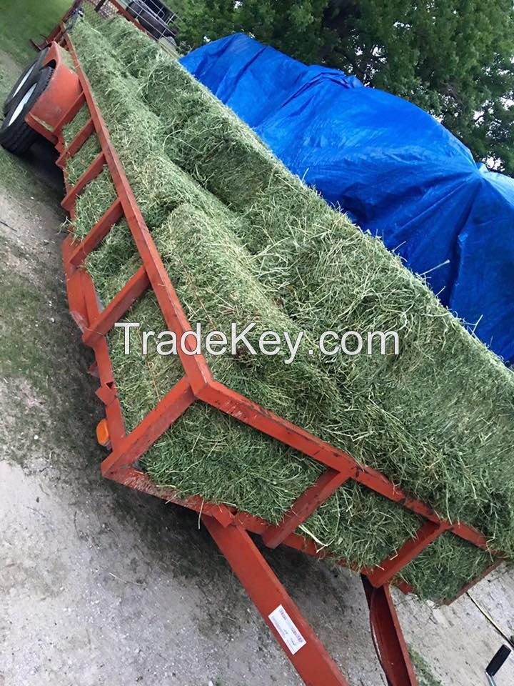 Animal Feed Grade Top Quality Alfalfa Hay Pellets For Sale Alfalfa Hay Pellets