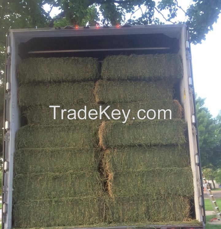 High Quality Animal Feed Alfalfa Hay from South Africa