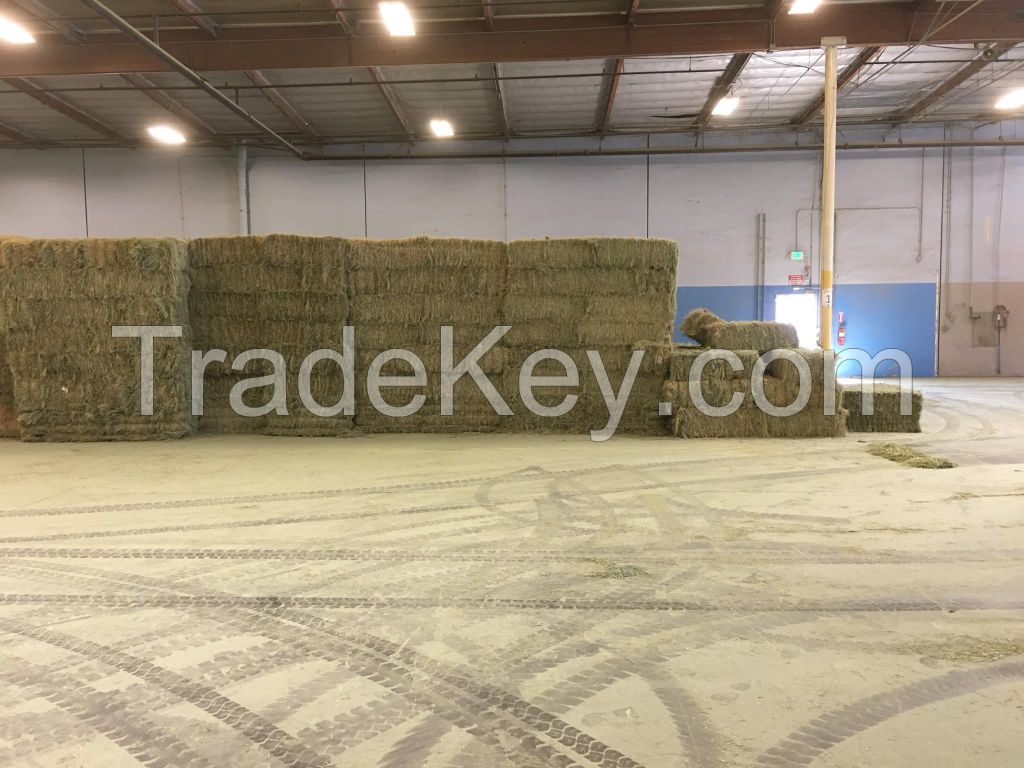 Alfalfa Hay Pellets For Animal Feed For Sale Bulk Hamburg