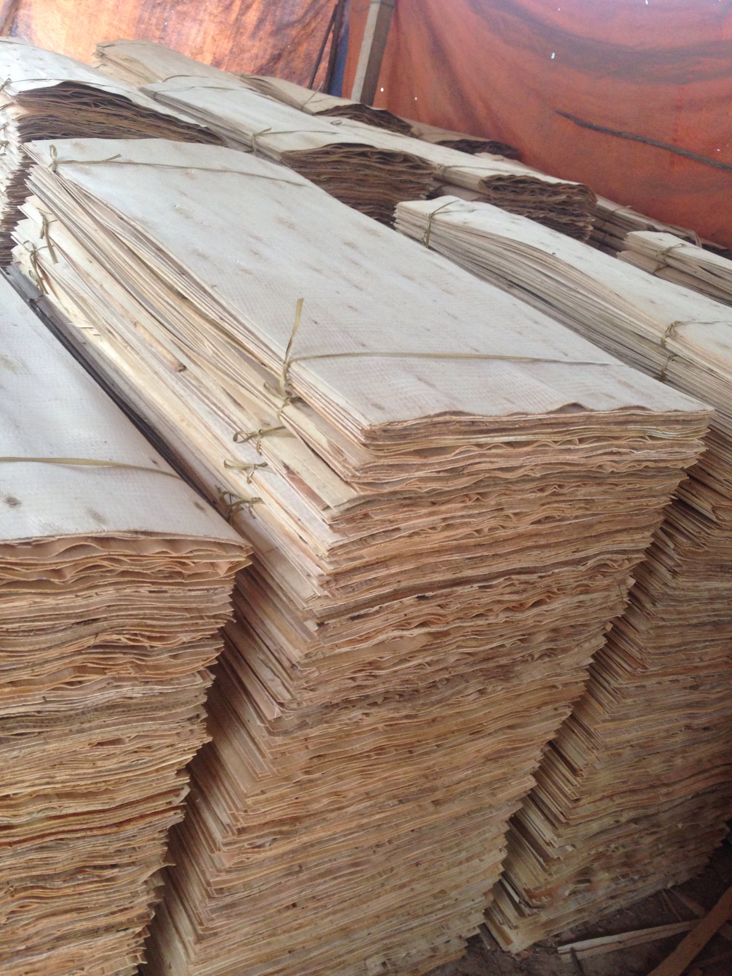 High quality Vietnam core veneer