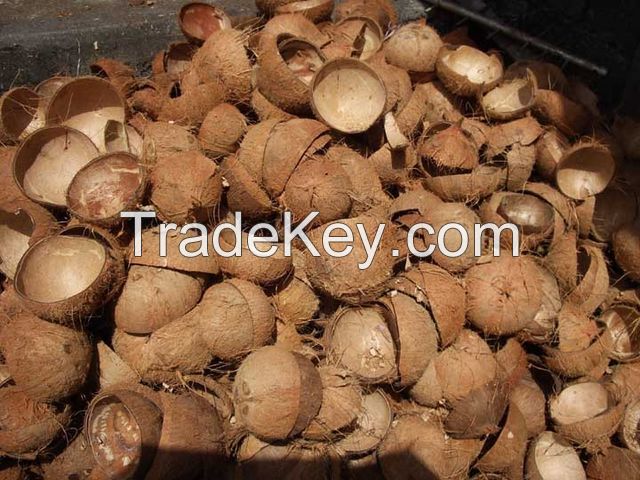 BEST PRICE COCONUT SHELL POWDER/ MOSQUITO COIL COCONUT SHELL POWDER