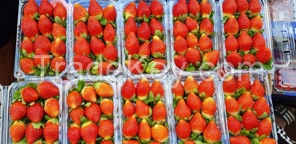 Fresh Strawberry