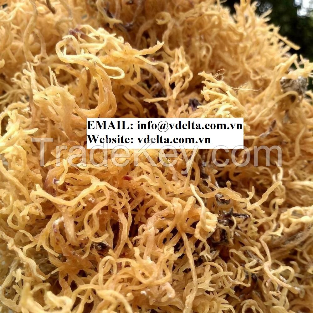 IRISH SEAWEED HIGH QUALITY