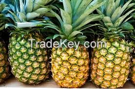 Fresh pineapple fruit