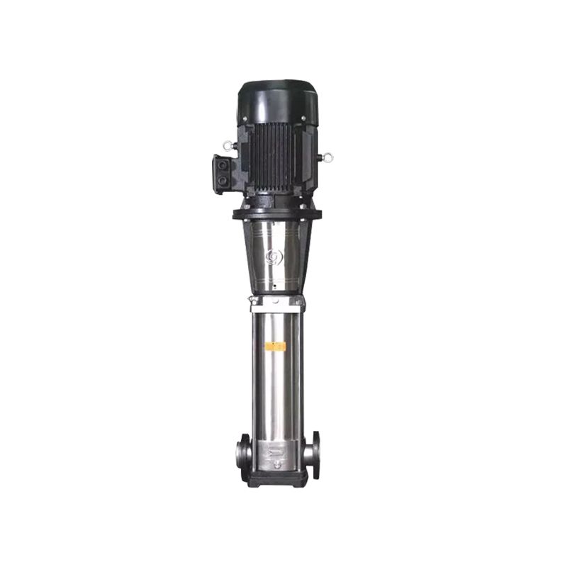 Raybo Centrifugal Pump RCDL Light-duty Stainless Steel Vertical Multistage Centrifugal Pump Auto Water Supply Pump