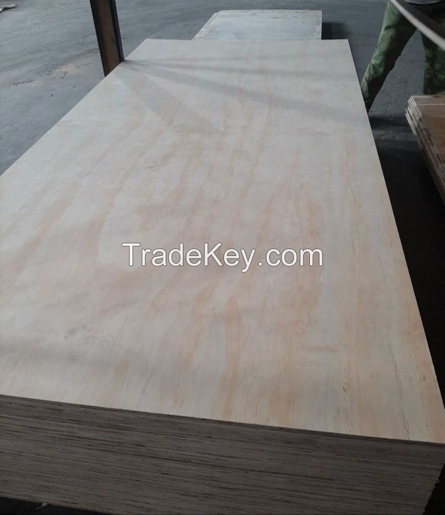 Commercial Plywood Pine veneer face and back