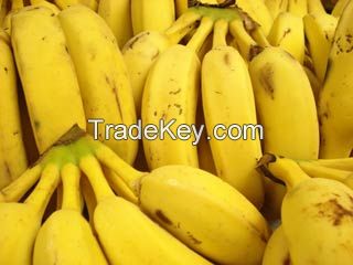 Organic Banana Powder