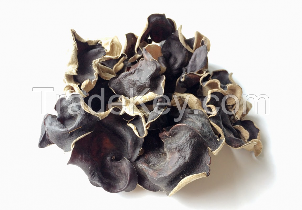 Dried wood ear mushroom