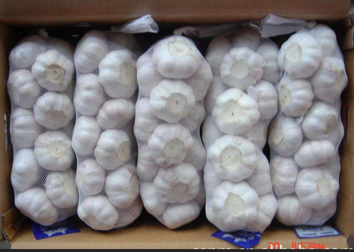 GARLIC PURE WHITE 1KG FRESH CORPED 2020