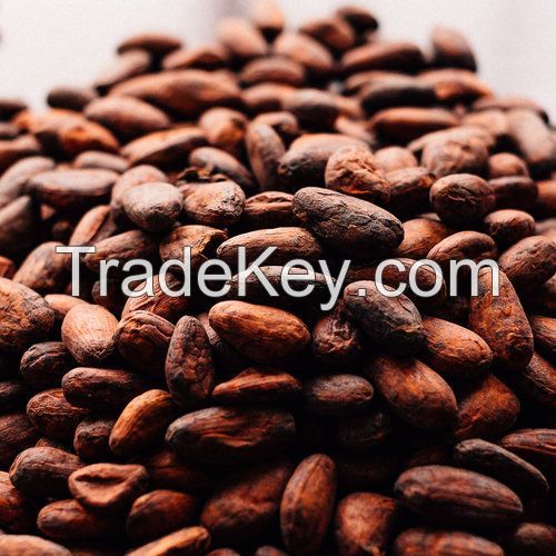 COCOA BEANS