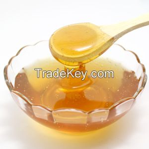 Professional Natural Pure Raw Honey Export