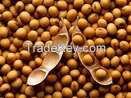 HIGH QUALITY SOYA BEAN, SOYBEAN, SOYBEAN SEED, GRAINS, OIL, NON GMO SOYBEAN, SOYBEAN MEAL, SOY OIL, PULSES, LENTILS, PEAS