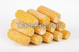 FROZEN SWEET CORN-FOOD CANNED