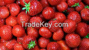 Frozen / freeze dried Strawberry, Berries, IQF Mango, PineApple