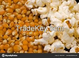 Popcorn Kernel