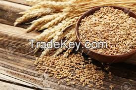 Great Wheat And Grains For Animal and Human Consumption