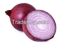 Fresh Red Onions For Sell