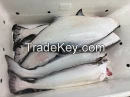 Pacific Halibut , Greenland Halibut...