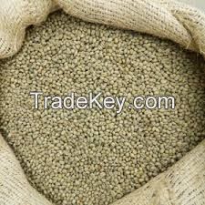 Kenya AA Grade Washed Coffee beans Arabica..